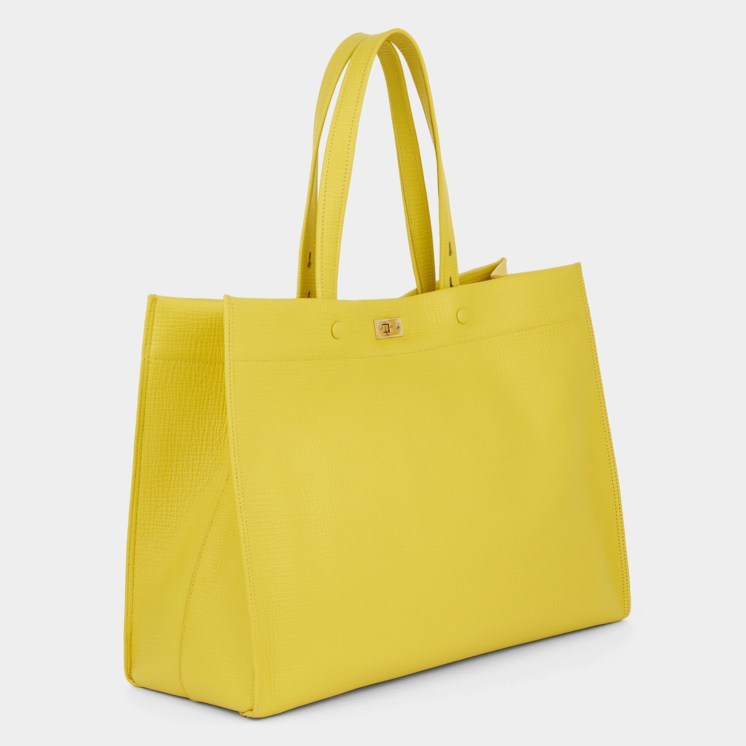 Mortimer Tote