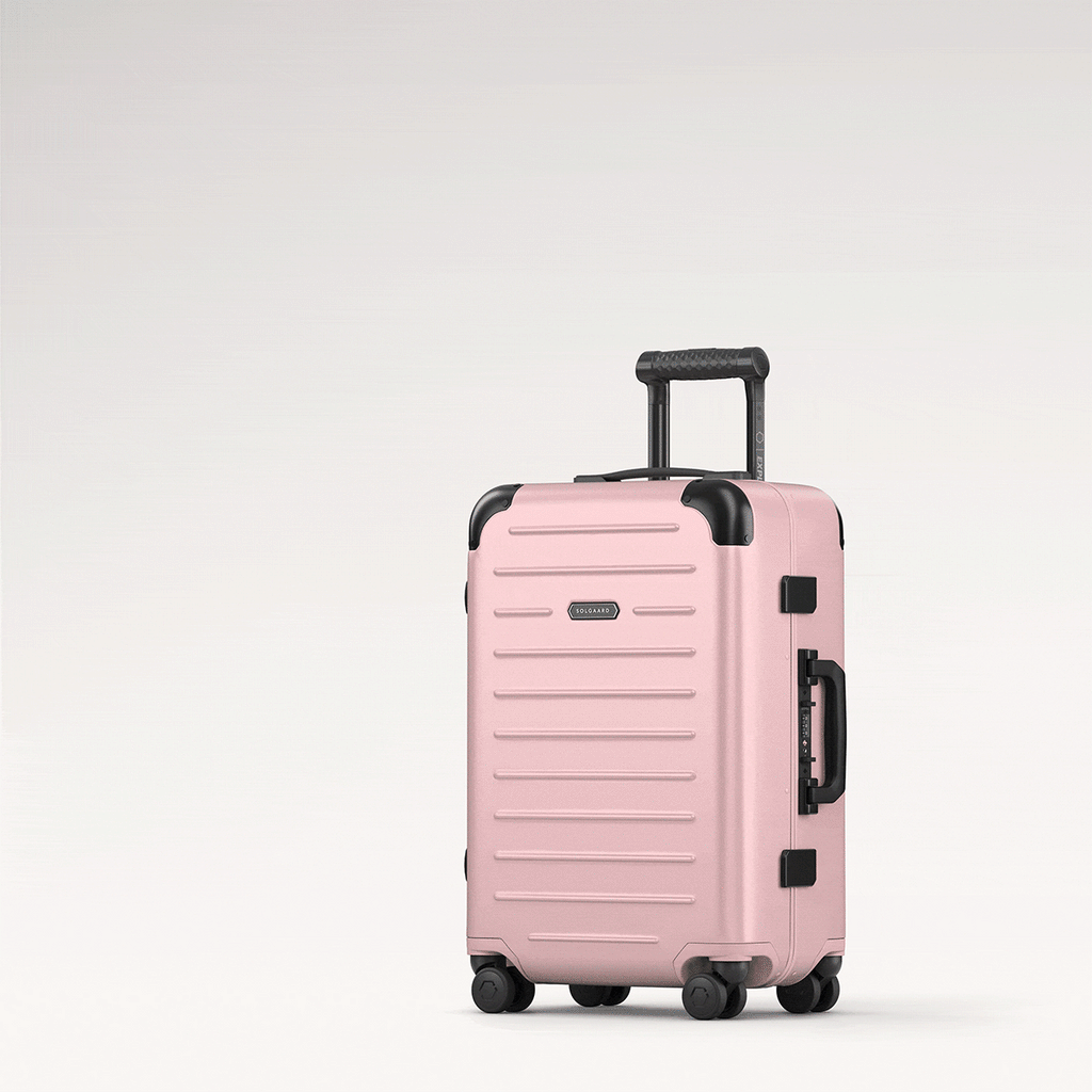 Carry-On Closet Original