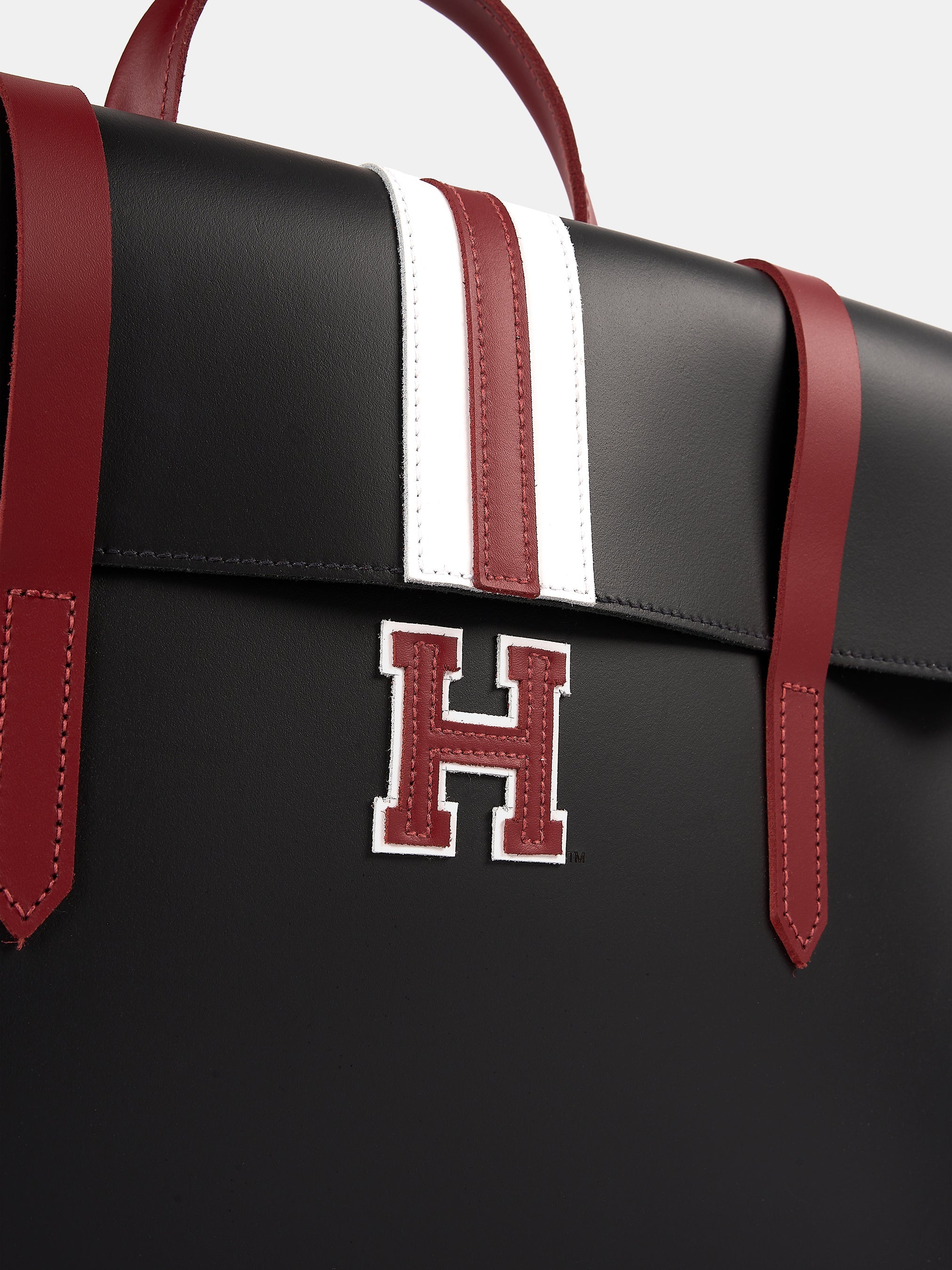 The Music Case - Black with Harvard Stripe
