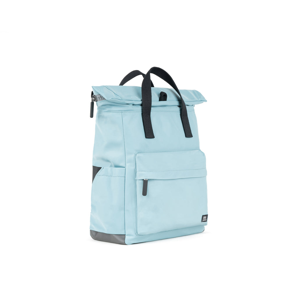 Black Label Canfield Roll Top Backpack in Spearmint